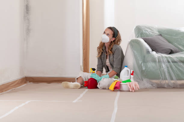 Reliable Bathroom Mold Removal contractor in Allenwood, NJ by WQB Mold Removal